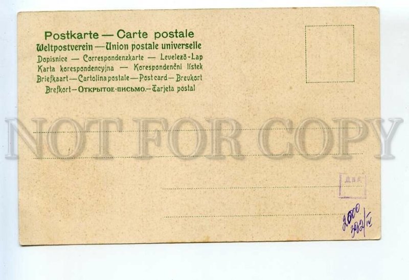 523814 Catharina KLEIN Geranium flowers Vintage postcard #985