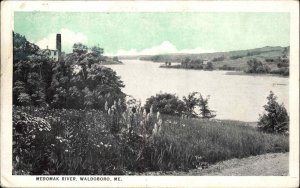 Waldoboro Maine ME Medomak River Shoreline 1930s-50s Vintage Postcard
