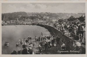 ROTHESAY, ESPLANADE, Bute, Scotland - Vintage POSTCARD