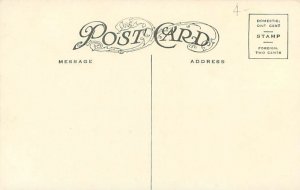 Rocky Mountains Royal Gorge Blvd, People in Car Litho Postcard Used