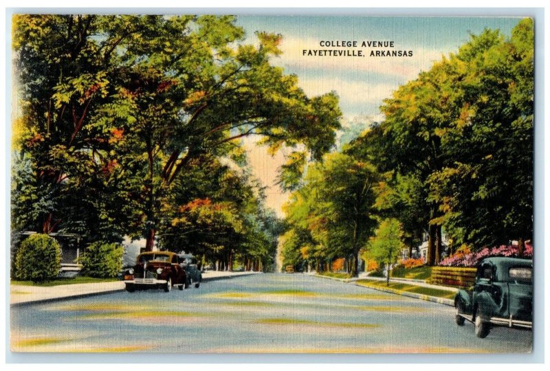 c1940's College Avenue Trees And Cars Fayetteville Arkansas AR Unposted Postcard