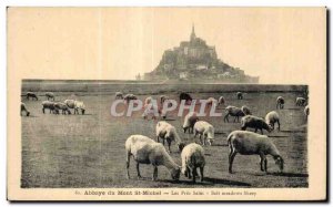 Postcard Abbey of Mont St Michel near the dirty salt meadows sheep