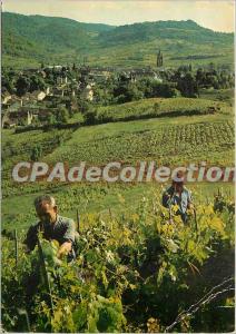 Modern Postcard Arbois France View from the top of the Vine Curan