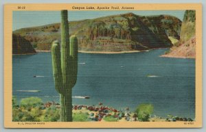 Apache Trail Arizona~Canyon Lake~Cactus In Desert~Vintage Postcard
