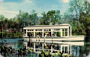 Florida Silver Springs Glass Bottom Boat Feeding Fish