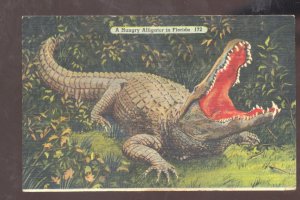 A HUNGRY ALLIGATOR IN FLORIDA LARGE CROCODILE VINTAGE POSTCARD CARRINGTON MO.