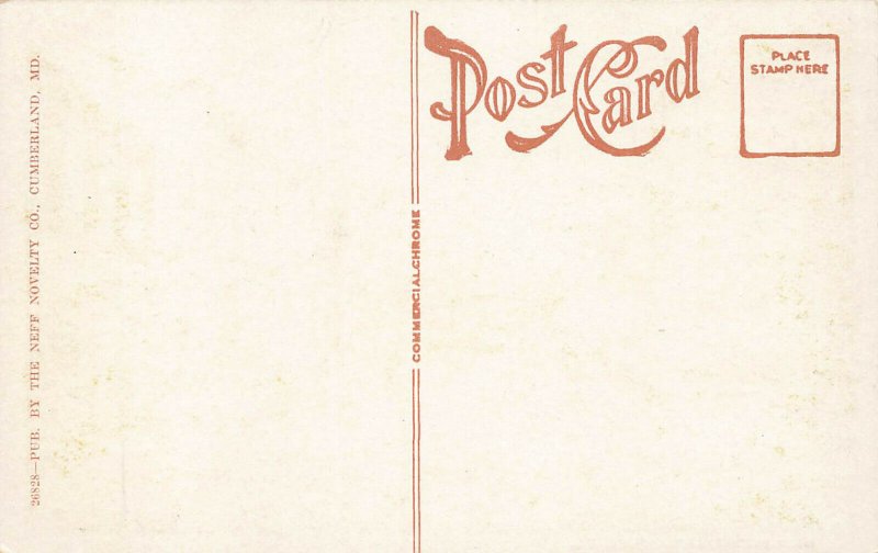 Lonaconing MD Main Street Storefronts Trolley Postcard