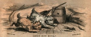 1870s-80s Cute Dogs Chasing Rat Bufford, Boston Victorian Trade Card F21