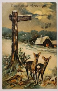 Christmas Greetings Beautiful Deer Doe Snow Forest Under The Moon Postcard O23