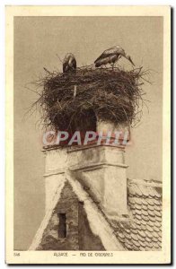 Old Postcard Alsace Storks Nest