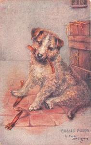 Raphael Tuck Signed Maude West Watson Collie Puppy Postcard