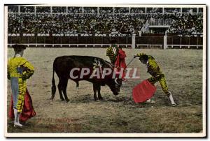 Postcard Old Bulls Bullfight Race