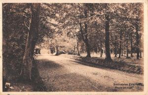 BR93535  harlestone firs northampton    uk