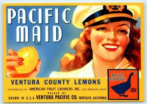 PACIFIC MAID Ventura County Lemons FRUIT CRATE LABEL Repro 4x6 Postcard 1981