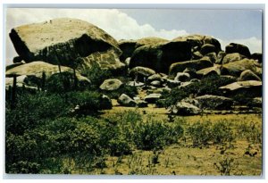 Aruba Postcard The Rocks of Ayo Giant Diorite Monoliths c1950's Vintage