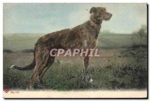 Postcard Old Dog Dogs Puppy