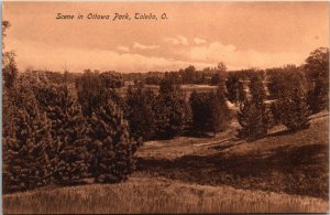 Postcard OH Lucas County Toledo Scene in Ottawa Park Woods UDB ~1905 B4