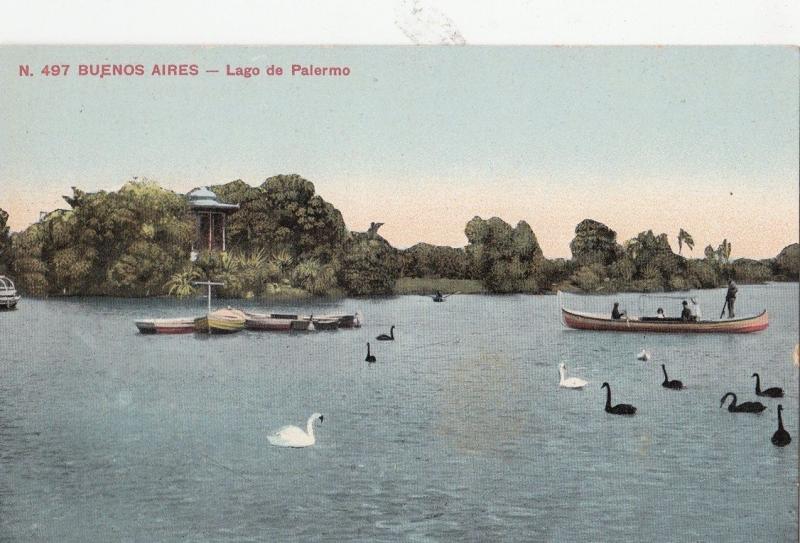 B79079 lago de palermo swan  buenos aires argentina scan front/back image