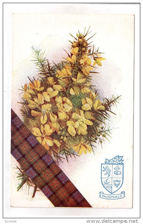 Mac DONALD; Tartan, Coat of Arms and Yellow Flowers, 00-10s