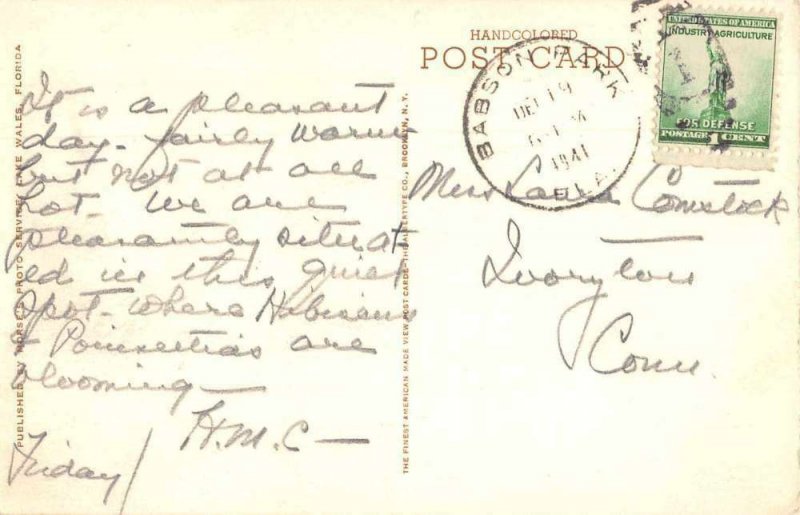 Babson Park Florida birds eye view Hillcrest Lodge handcolored antique