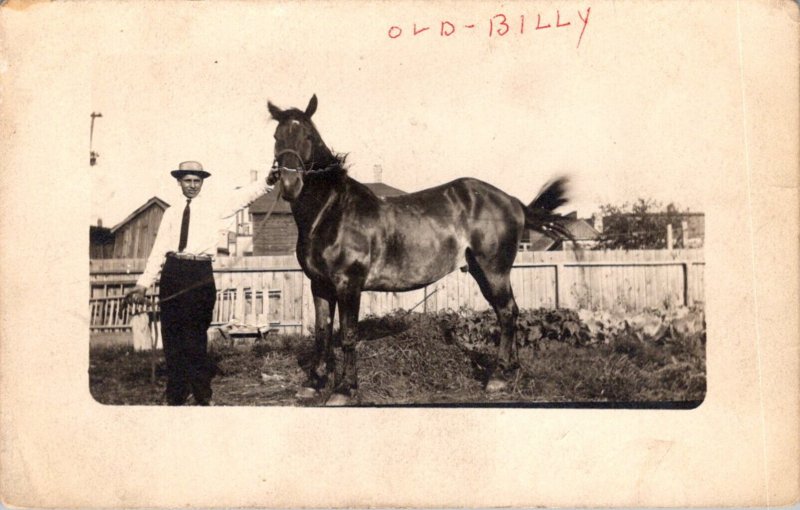 Horses Man With Horse Old Billy Real Photo