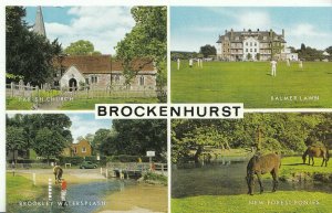 Hampshire Postcard - Views of Brockenhurst   ZZ1791