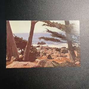 Still Water Cove, Pebble Beach, California Postcard