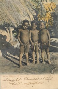 B584 Transvaal region Native Children at home Braune & Levy Johannesburg 1908