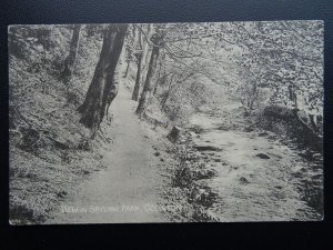 Scotland Edinburgh COLINTON View in Spylaw Park - Old Postcard by Alex Hutcheson