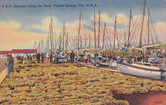 Sponges Along The Dock Tarpon Springs Florida 1946