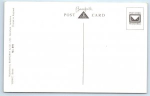 Bamforth Risque Comic SEX-AIDS Busty Woman & Smaller Man c1960s Postcard