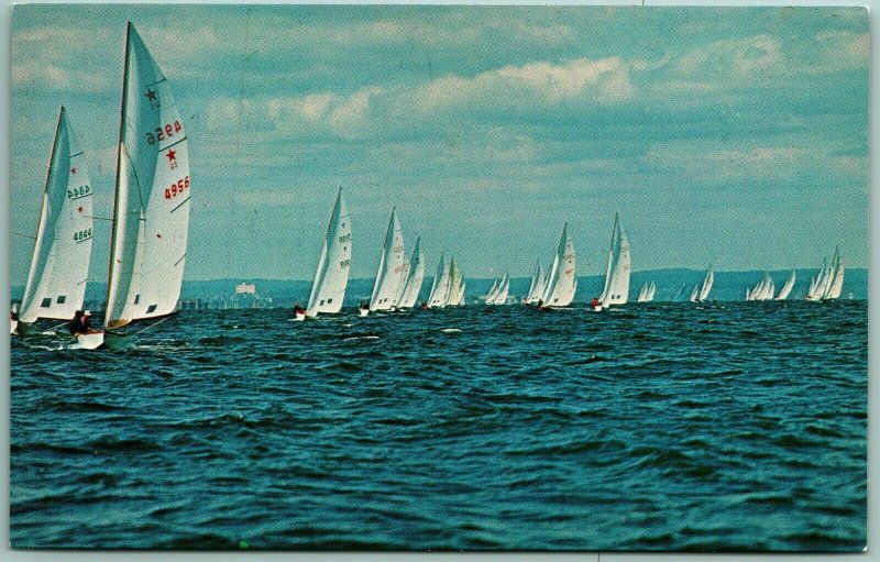 Star Boats Racing along Long Island New York NY UNP Unused Chrome Postcard I6