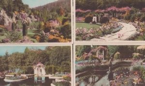 Victoria BC Gardens 4x Canada Vintage Postcard s