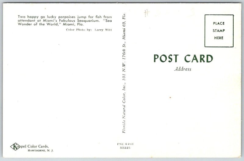 Miami Florida 1960s Postcard Jumping Porpoises Seaquarium