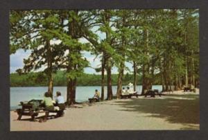 NH White Lake State Pk TAMWORTH NEW HAMPSHIRE Postcard