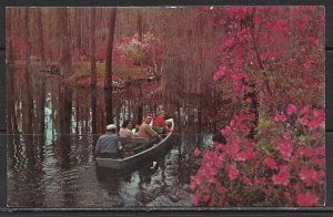 South Carolina, Charleston - Cypress Gardens - [SC-062]