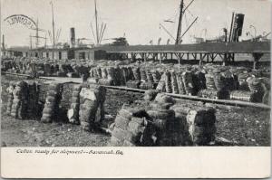 Cotton Ready for Shipment Savannah GA Georgia c1908 Postcard E46