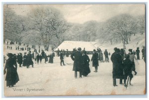 c1910 Vinter Dyrehaven Klampenborg Copenhagen Denmark Antique Postcard