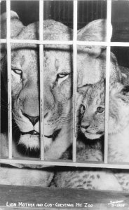 H72/ Colorado Springs RPPC Postcard c1940s Cheyenne Mt Zoo Lions 151