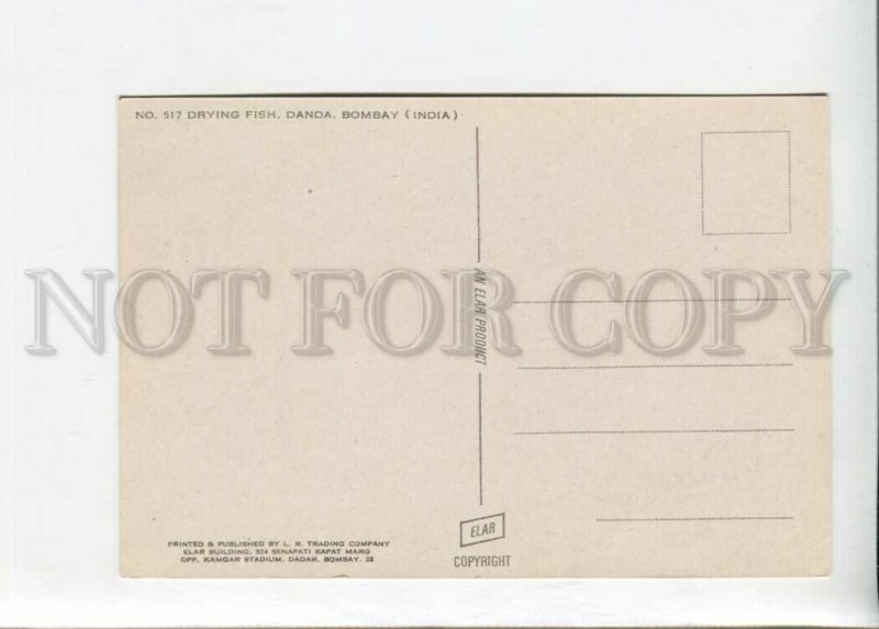 3131002 India BOMBAY Drying fish Danda Old photo postcard