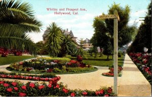 Garden at Whitley and Prospect Avenue, Hollywood CA Vintage Postcard H59