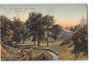 Waukegan Illinois IL Postcard 1910 View From Water Street Bridge