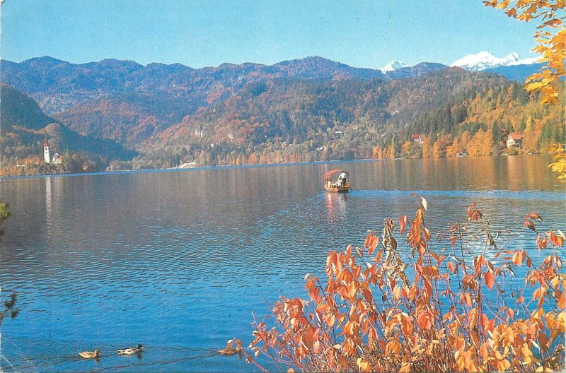 Slovenia Postkarte Bled lake scenic landscape sailing boat ducks