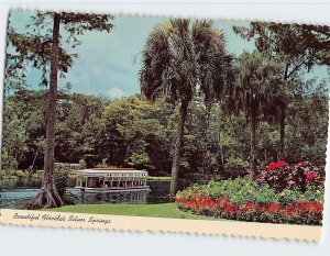 Postcard Beautiful Florida's Silver Springs, Florida