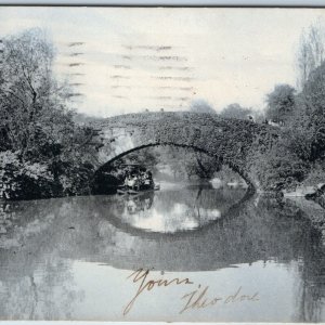 c1900s UDB Central Park New York City NY Vine Arch Bridge Rotograph Sol Art A206