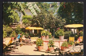 Mexico TAXCO, Gro Jardin Hotel Santa Prisca showing Garden - Chrome