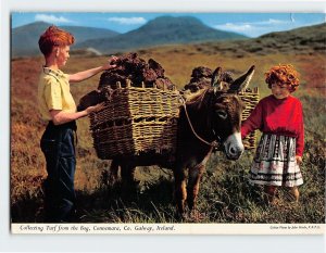 Postcard Collecting Turf from the Bog, Connemara, Ireland