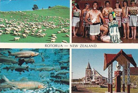 New Zealand Rotorua Multi View