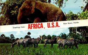 Florida Boca Raton Greetings From Africa U S A Split View Showing Elephant an...