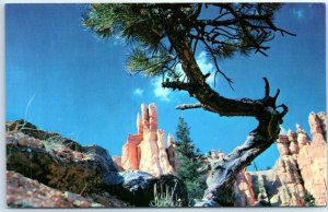 Postcard - Queen's Garden, Bryce National Park - Utah 
